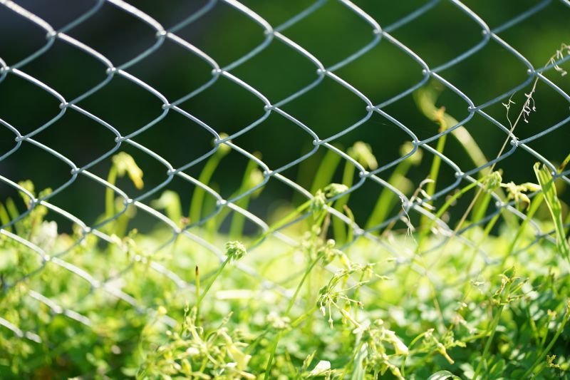 Deer Fence Installation in Pearland, TX
